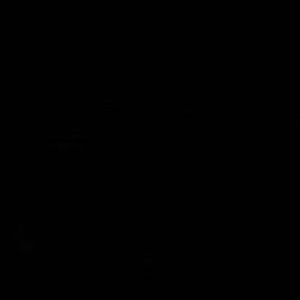 Meet your Posher, Dariana